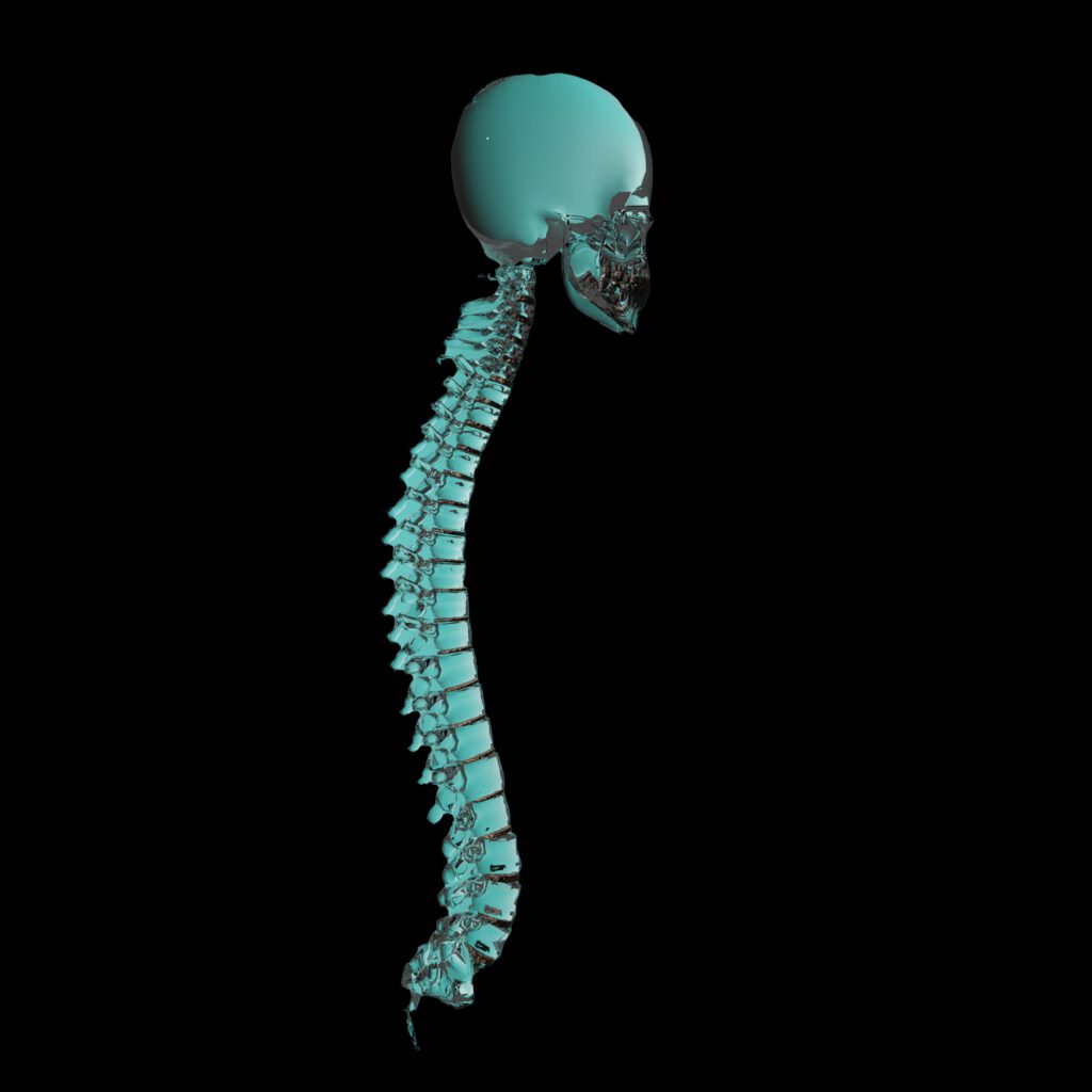 MedicBite dental solutions spine with head